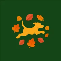 Fetch: America’s Rewards App